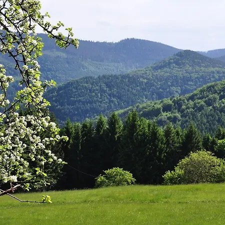 Gite Rammelstein Ribeauvillé Esterno foto
