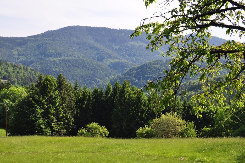 Rammelstein Holiday home *